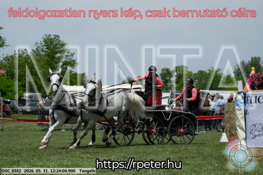 Mintakép 20260531-2178