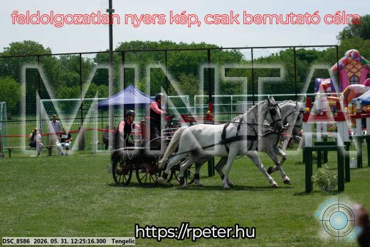 Mintakép 20260531-2191