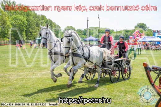 Mintakép 20260531-2192