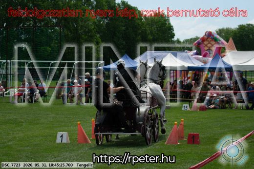 Mintakép 20260531-2206