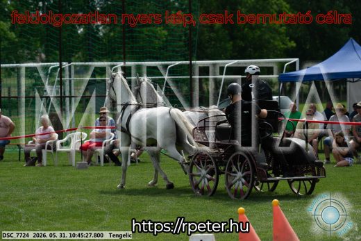 Mintakép 20260531-2207