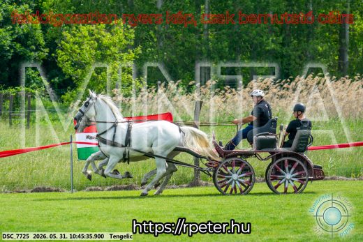 Mintakép 20260531-2208