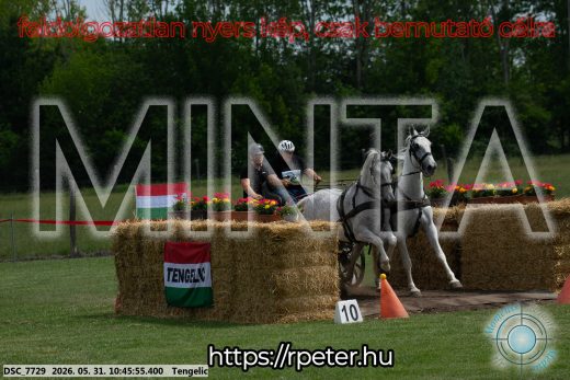 Mintakép 20260531-2211