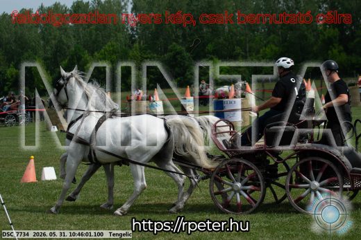 Mintakép 20260531-2216