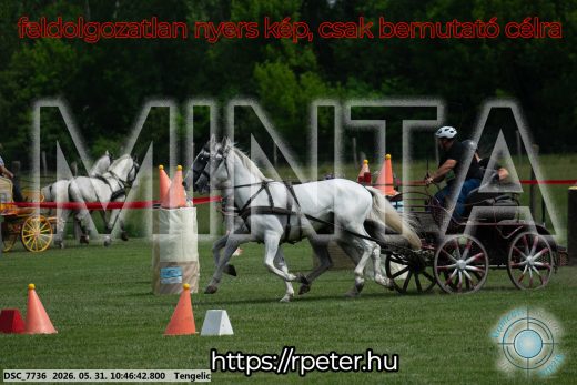 Mintakép 20260531-2218