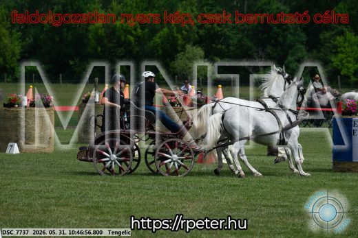 Mintakép 20260531-2219
