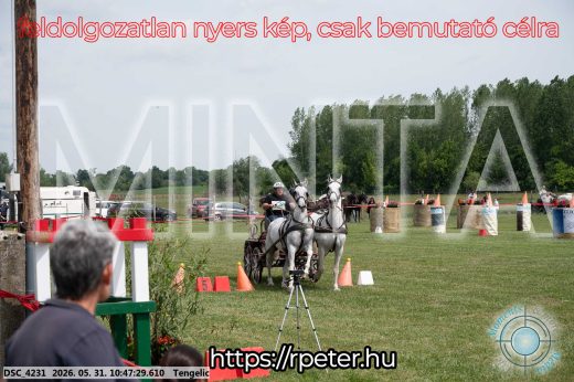 Mintakép 20260531-2220