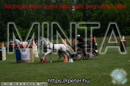 Mintakép 20260531-2233