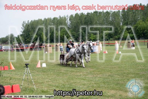 Mintakép 20260531-2234
