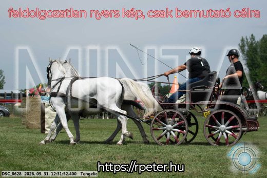 Mintakép 20260531-2248