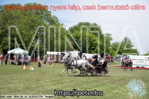 Mintakép 20260531-2251