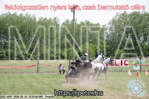Mintakép 20260531-2264