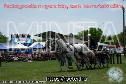 Mintakép 20260531-2269
