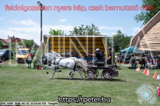 Mintakép 20260531-2274