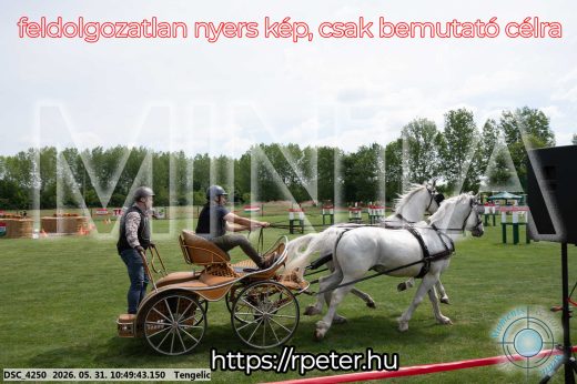 Mintakép 20260531-2356