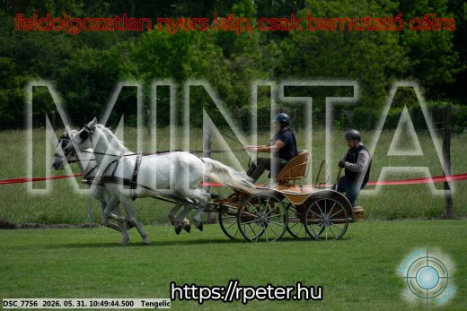 Mintakép 20260531-2360