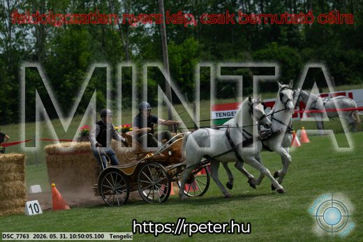 Mintakép 20260531-2365