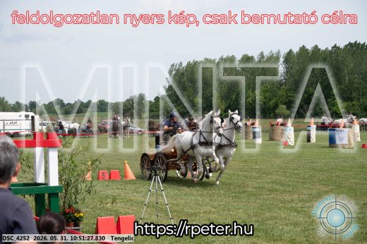 Mintakép 20260531-2376