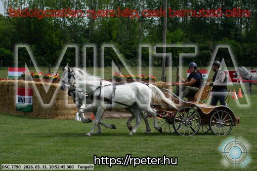 Mintakép 20260531-2401