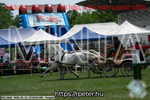 Mintakép 20260531-2403