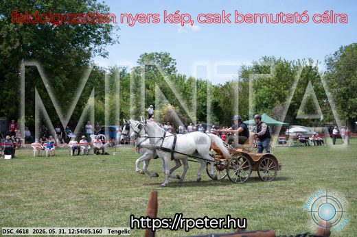 Mintakép 20260531-2407