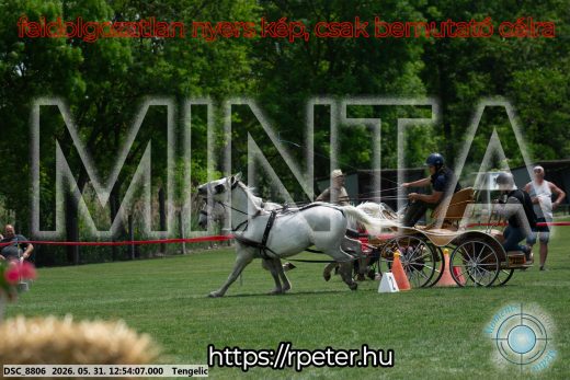 Mintakép 20260531-2412
