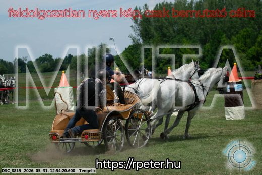 Mintakép 20260531-2421
