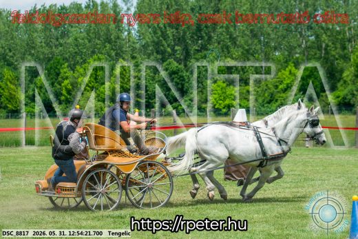 Mintakép 20260531-2423