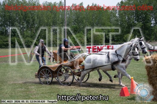 Mintakép 20260531-2426