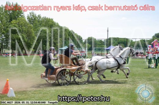 Mintakép 20260531-2430