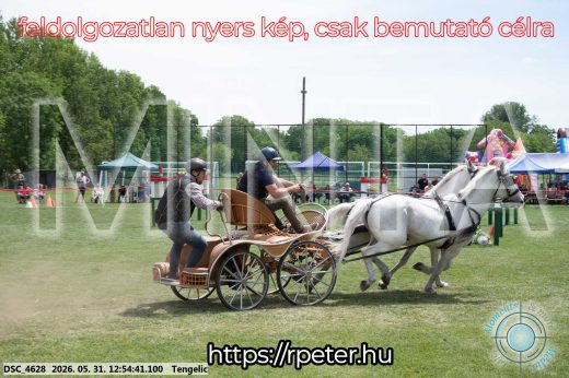 Mintakép 20260531-2431