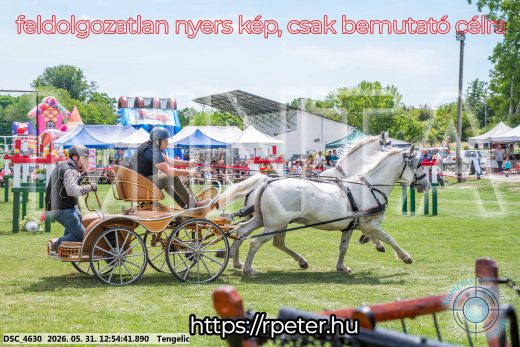 Mintakép 20260531-2433