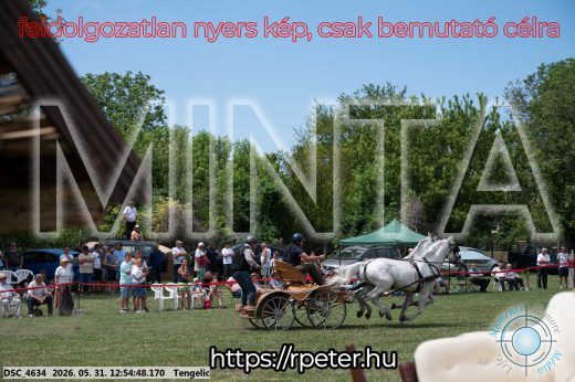 Mintakép 20260531-2437