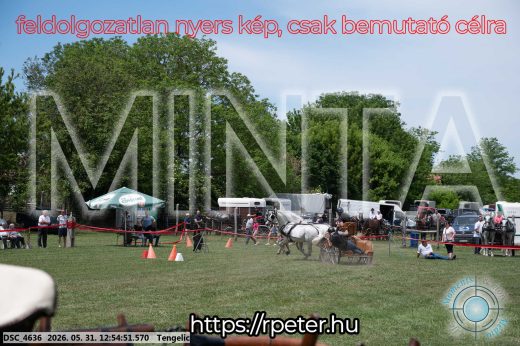 Mintakép 20260531-2439