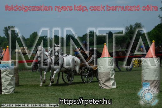 Mintakép 20260531-2441