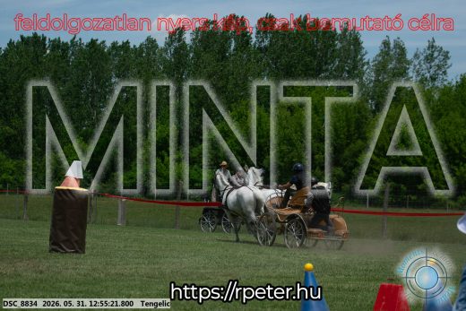 Mintakép 20260531-2455