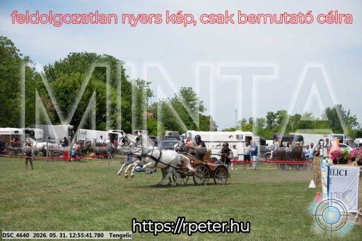 Mintakép 20260531-2456