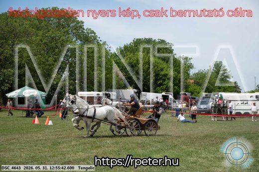 Mintakép 20260531-2459