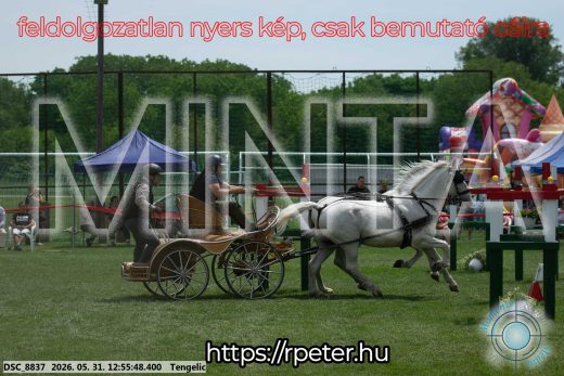 Mintakép 20260531-2466
