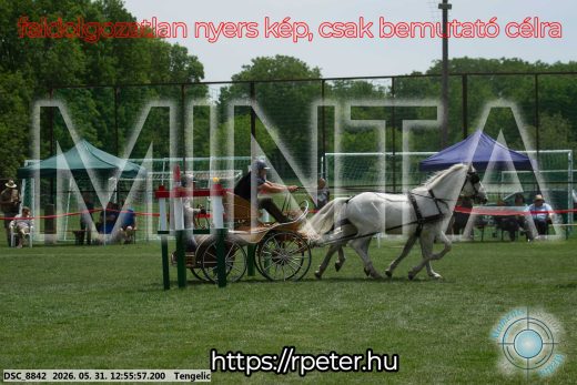 Mintakép 20260531-2485