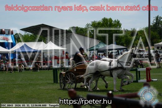 Mintakép 20260531-2486
