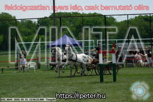 Mintakép 20260531-2488