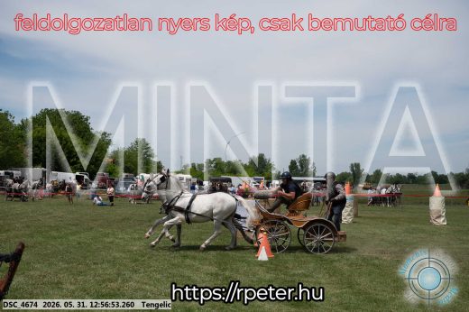 Mintakép 20260531-2502