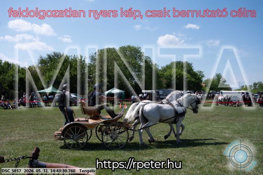 Mintakép 20260531-2514