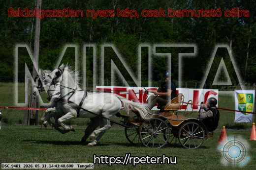 Mintakép 20260531-2516