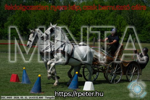 Mintakép 20260531-2518