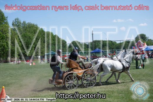 Mintakép 20260531-2525