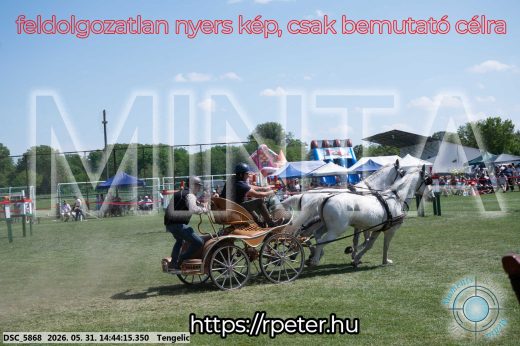 Mintakép 20260531-2527