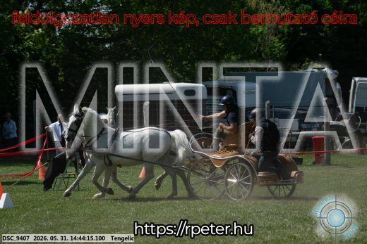 Mintakép 20260531-2528