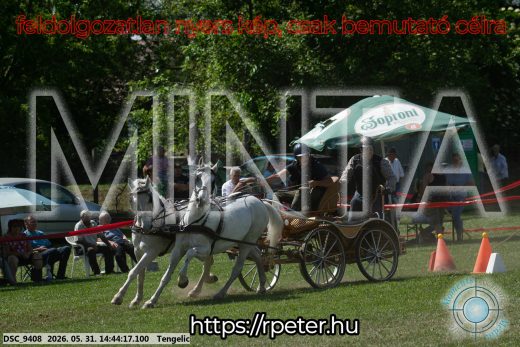 Mintakép 20260531-2530